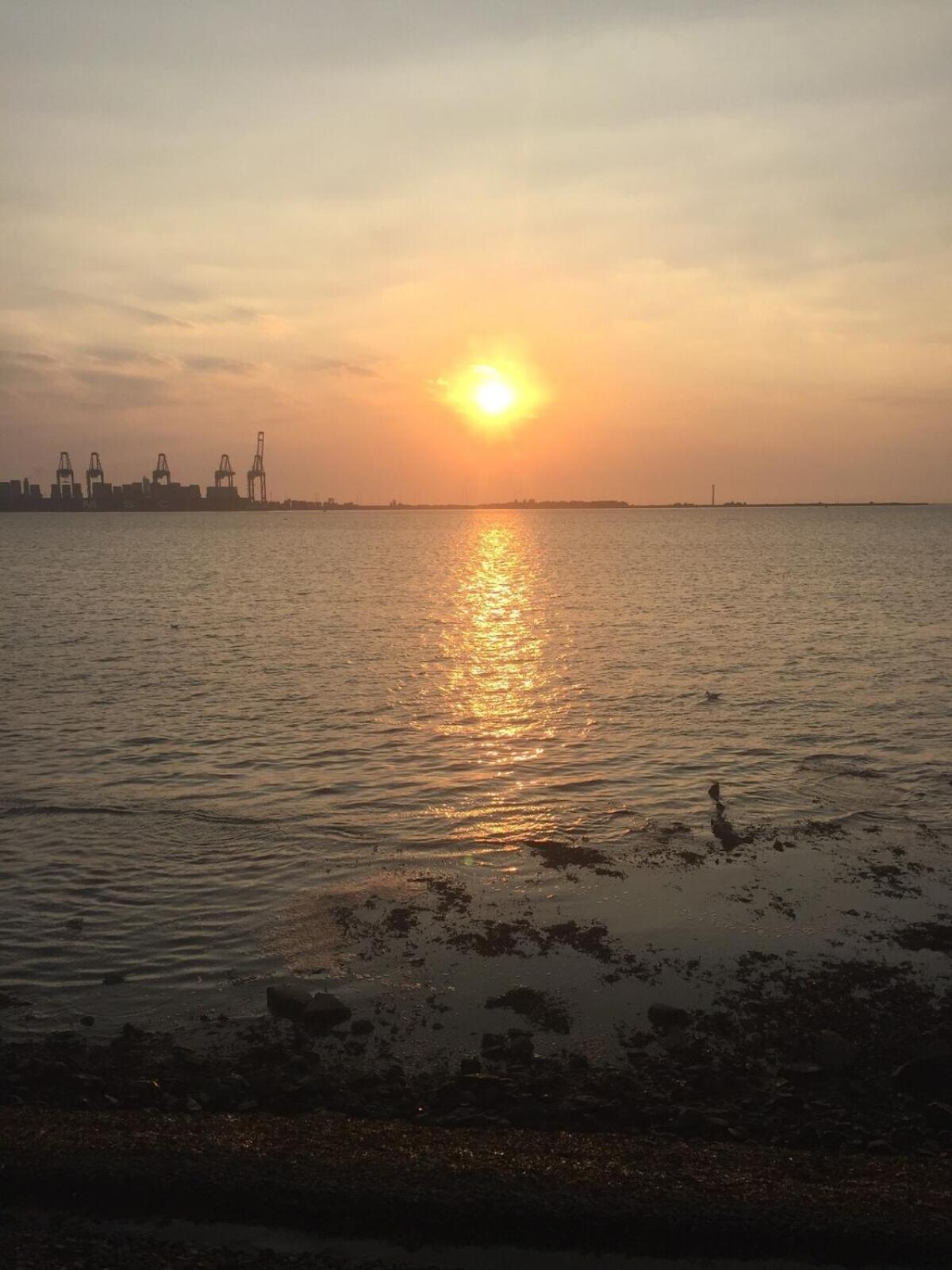 Tidal Walk Cottage By The Sea Harwich Esterno foto
